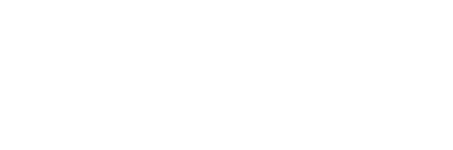 Logo Footer